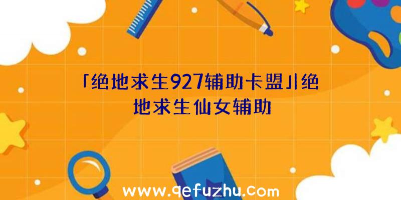 「绝地求生927辅助卡盟」|绝地求生仙女辅助